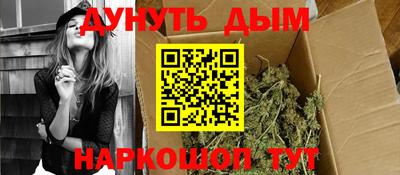 сатива Камышлов