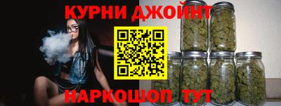 сатива Камышлов