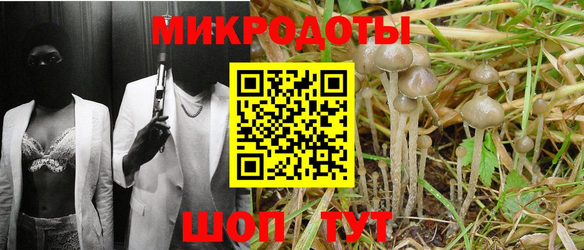 Галлюциногенные грибы MAGIC MUSHROOMS  Вход с VPN  Семилуки  Галлюциногенные грибы Psilocybine cubensis 